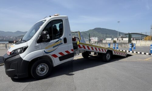 Autoasistencia En Servicio